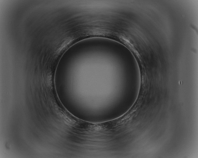 X0000093240249200710031608