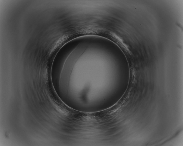 X0000093240250200710031608