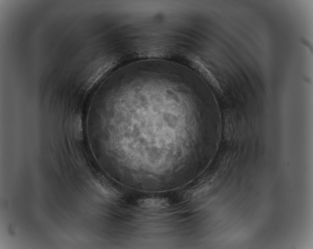 X0000093240251200710031608