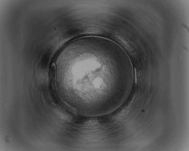 X0000093240252200710031608