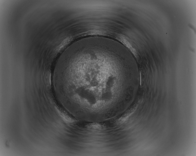 X0000093240253200710031608