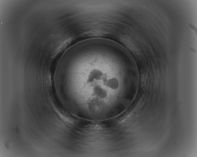 X0000093240254200710031608