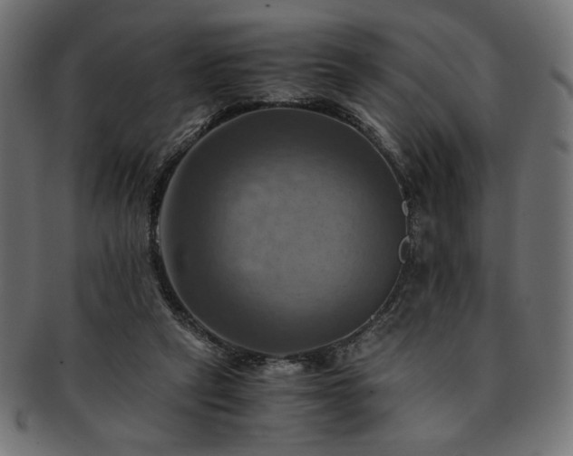 X0000093240257200710031608