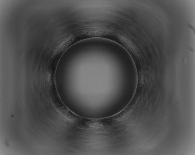 X0000093240258200710031608