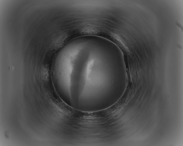 X0000093240259200710031608