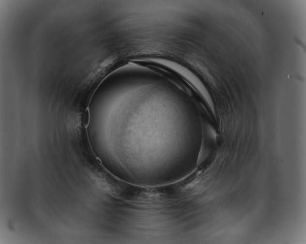 X0000093240260200710031608
