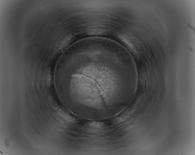 X0000093240261200710031608