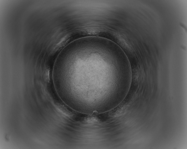 X0000093240262200710031608