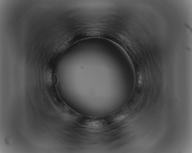 X0000093240267200710031608