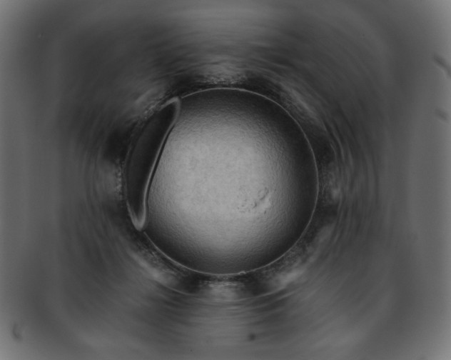 X0000093240268200710031608