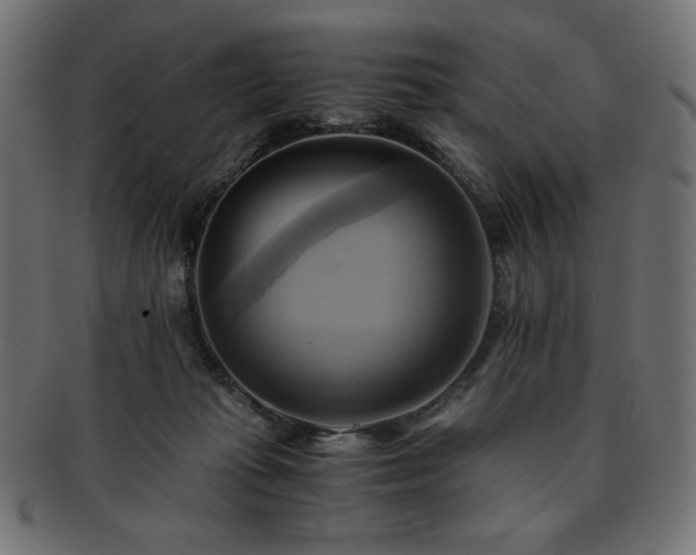 X0000093240269200710031608