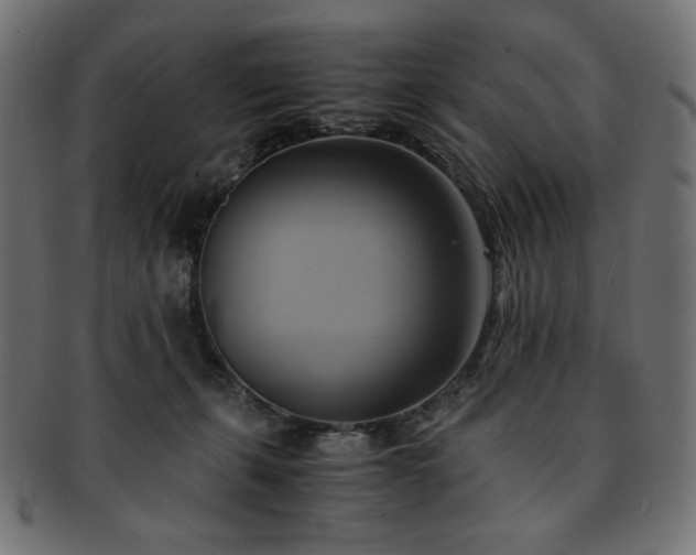 X0000093240271200710031608