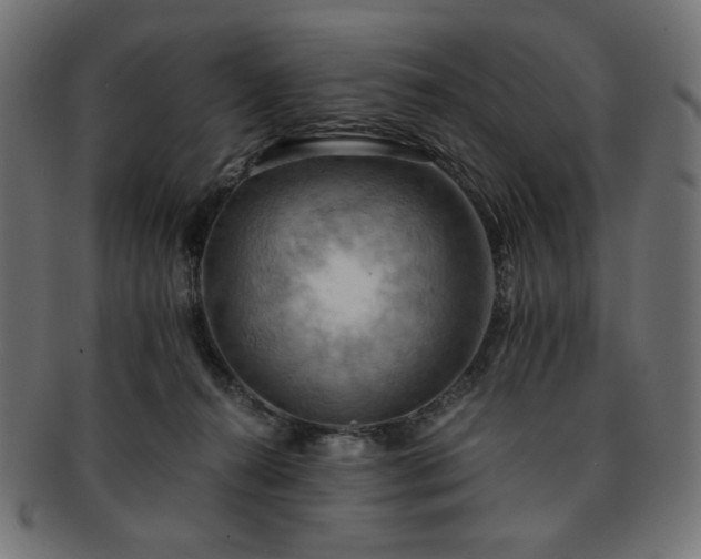 X0000093240272200710031608