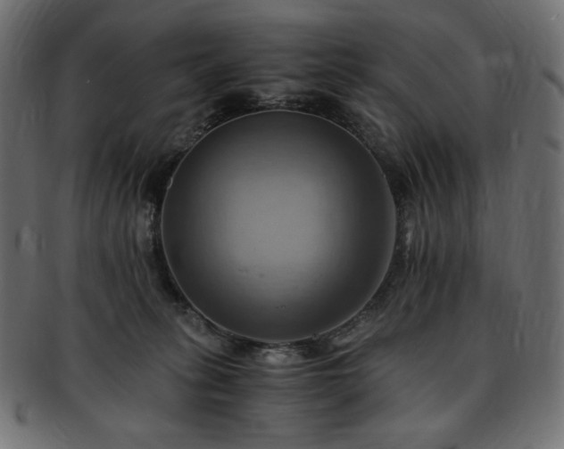 X0000093240275200710031608