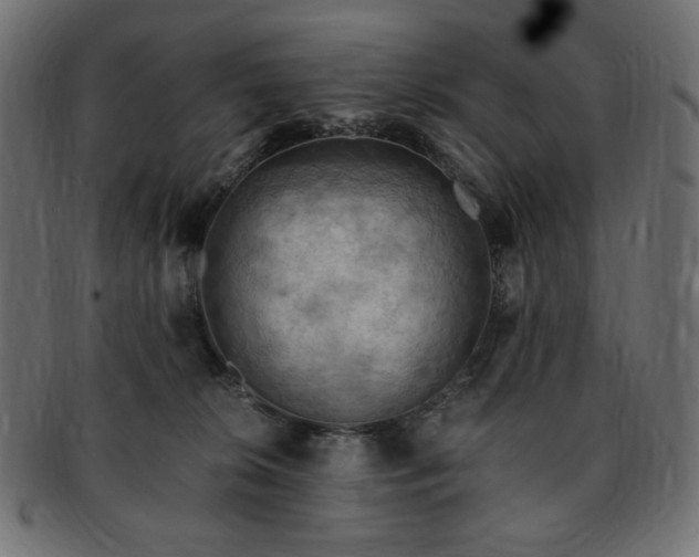 X0000093240276200710031608