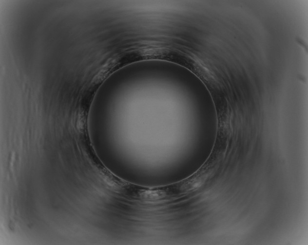 X0000093240277200710031608