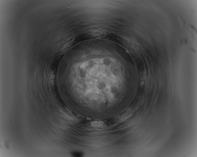 X0000093240279200710031608