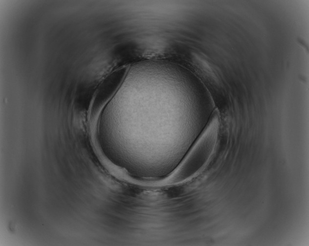 X0000093240280200710031608