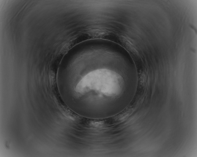 X0000093240283200710031608
