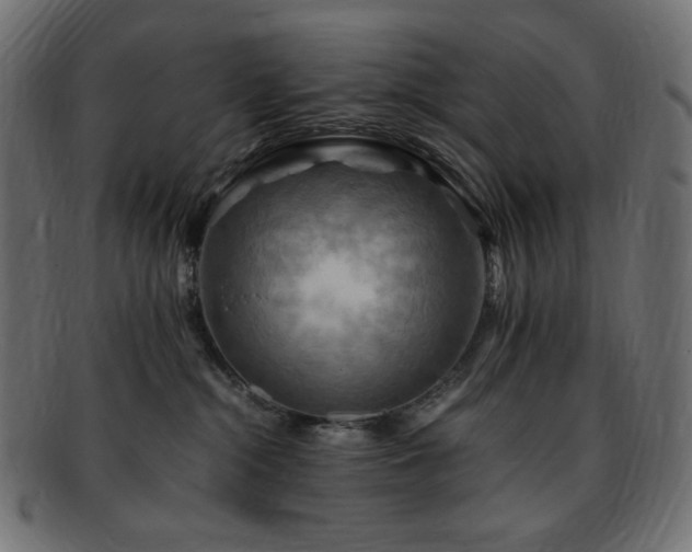X0000093240284200710031608