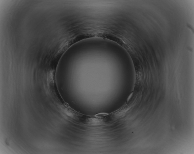 X0000093240286200710031608