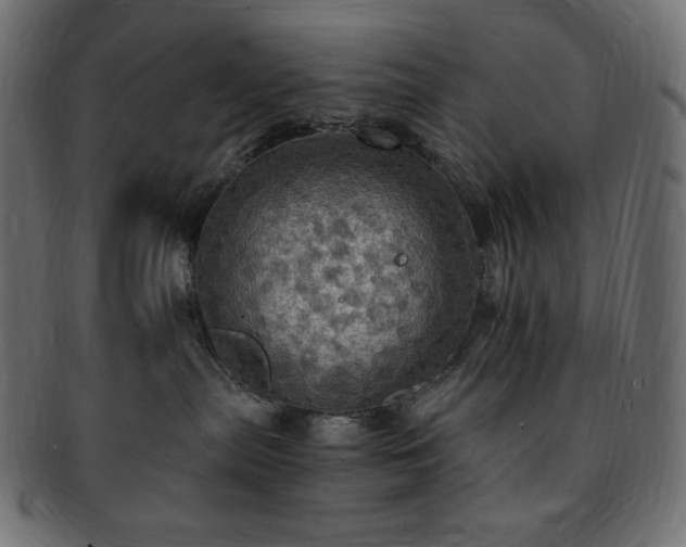 X0000093240287200710031608