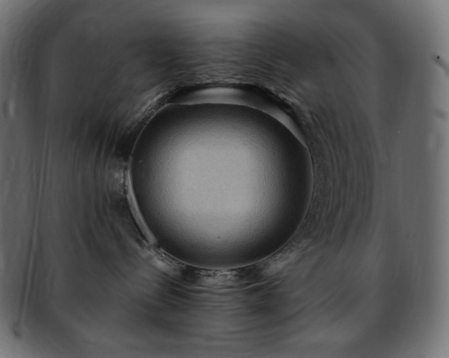 X0000093240288200710031608