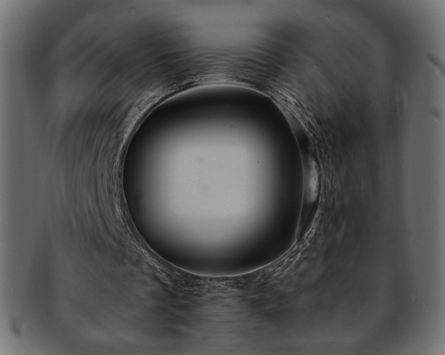 X0000093240289200710031608