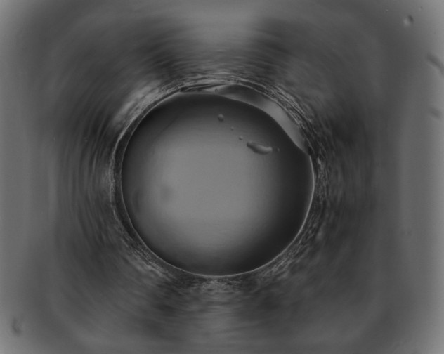 X0000093240290200710031608