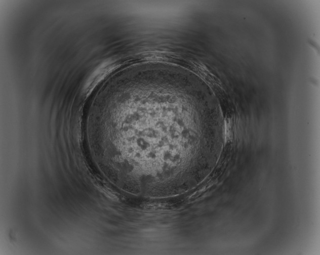 X0000093240291200710031608