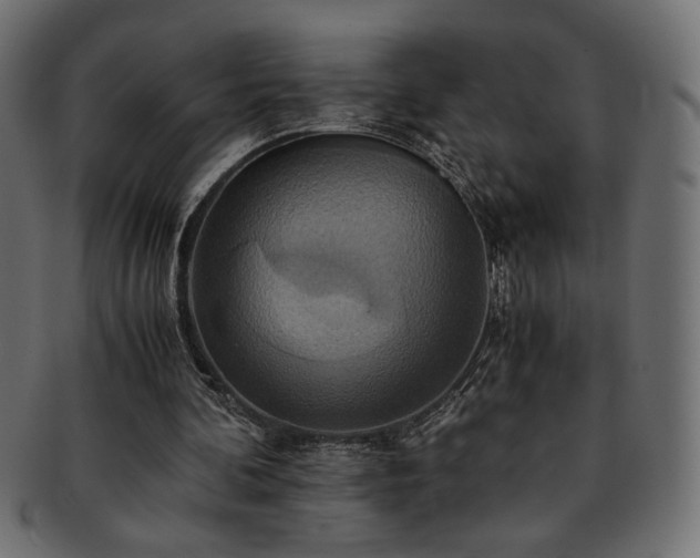 X0000093240292200710031608