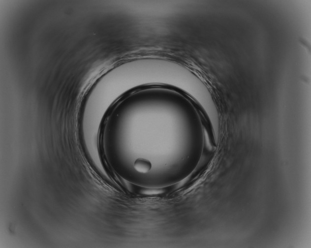 X0000093240293200710031608