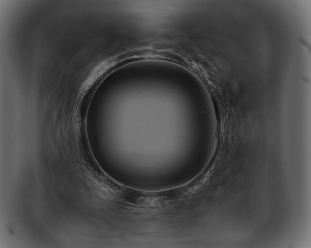 X0000093240295200710031608