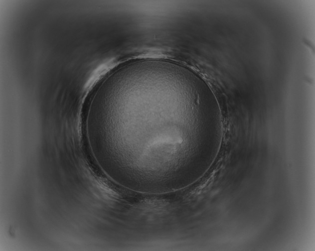 X0000093240296200710031608