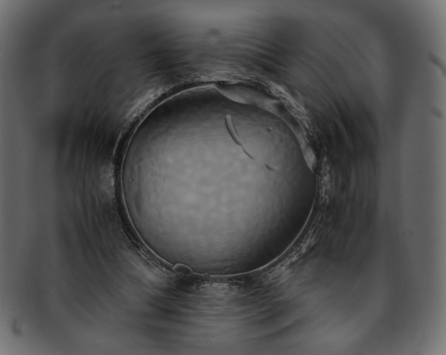 X0000093240298200710031607