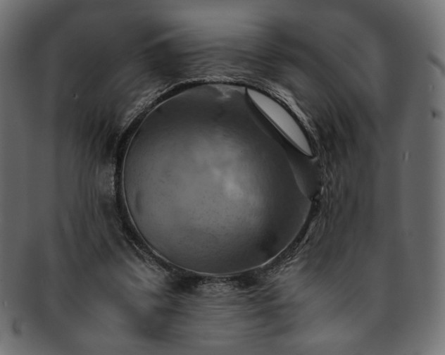 X0000093240299200710031607