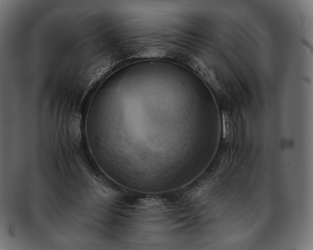 X0000093240300200710031607