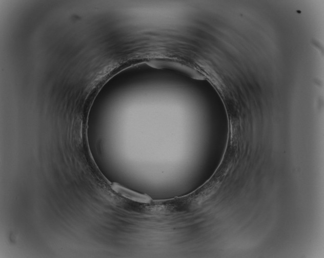 X0000093240301200710031607