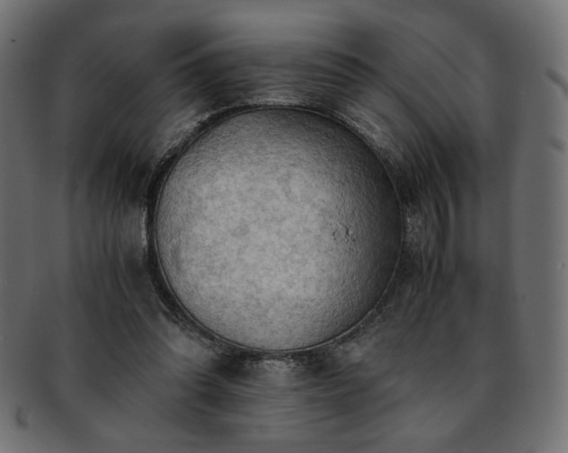 X0000093240302200710031607