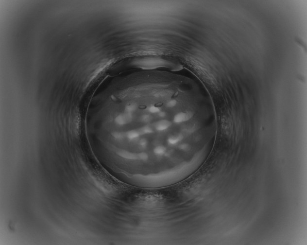 X0000093240304200710031607