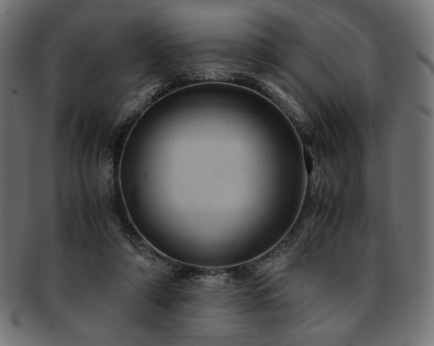 X0000093240306200710031607