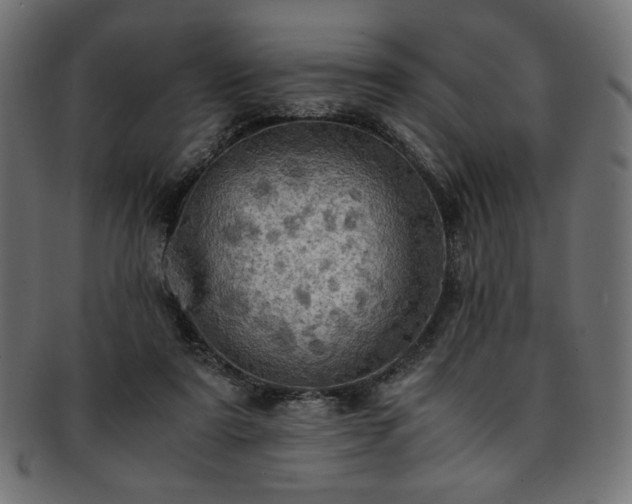 X0000093240307200710031607