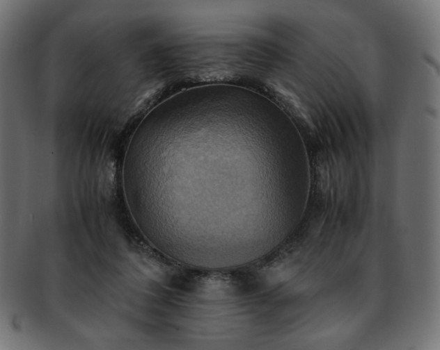 X0000093240308200710031607