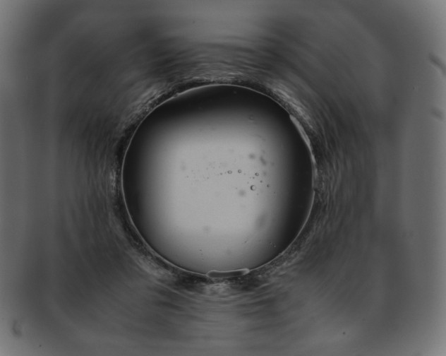 X0000093240309200710031607