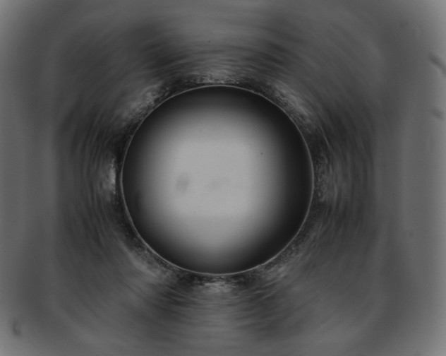 X0000093240310200710031607