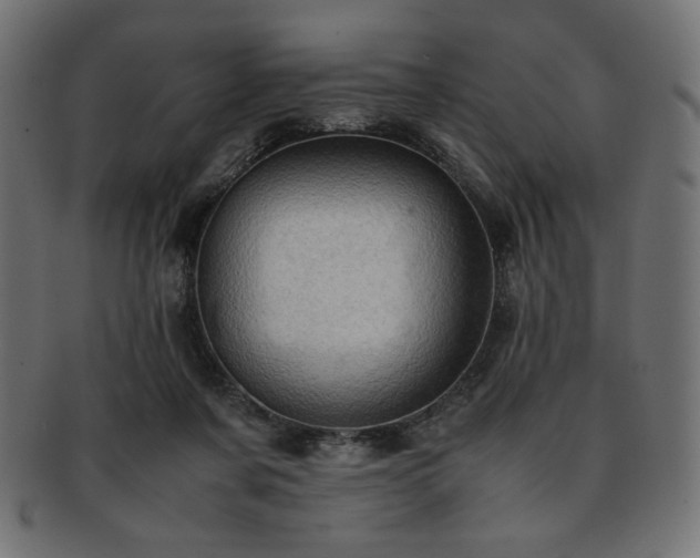 X0000093240311200710031607