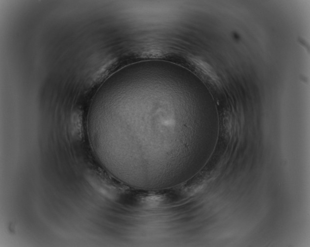 X0000093240312200710031607