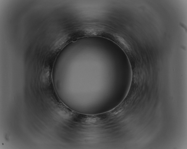 X0000093240314200710031607