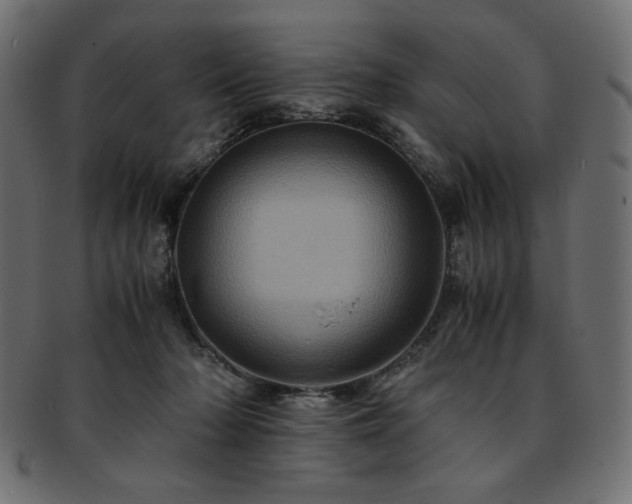 X0000093240318200710031607