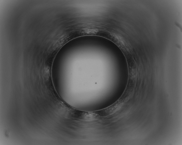 X0000093240321200710031607